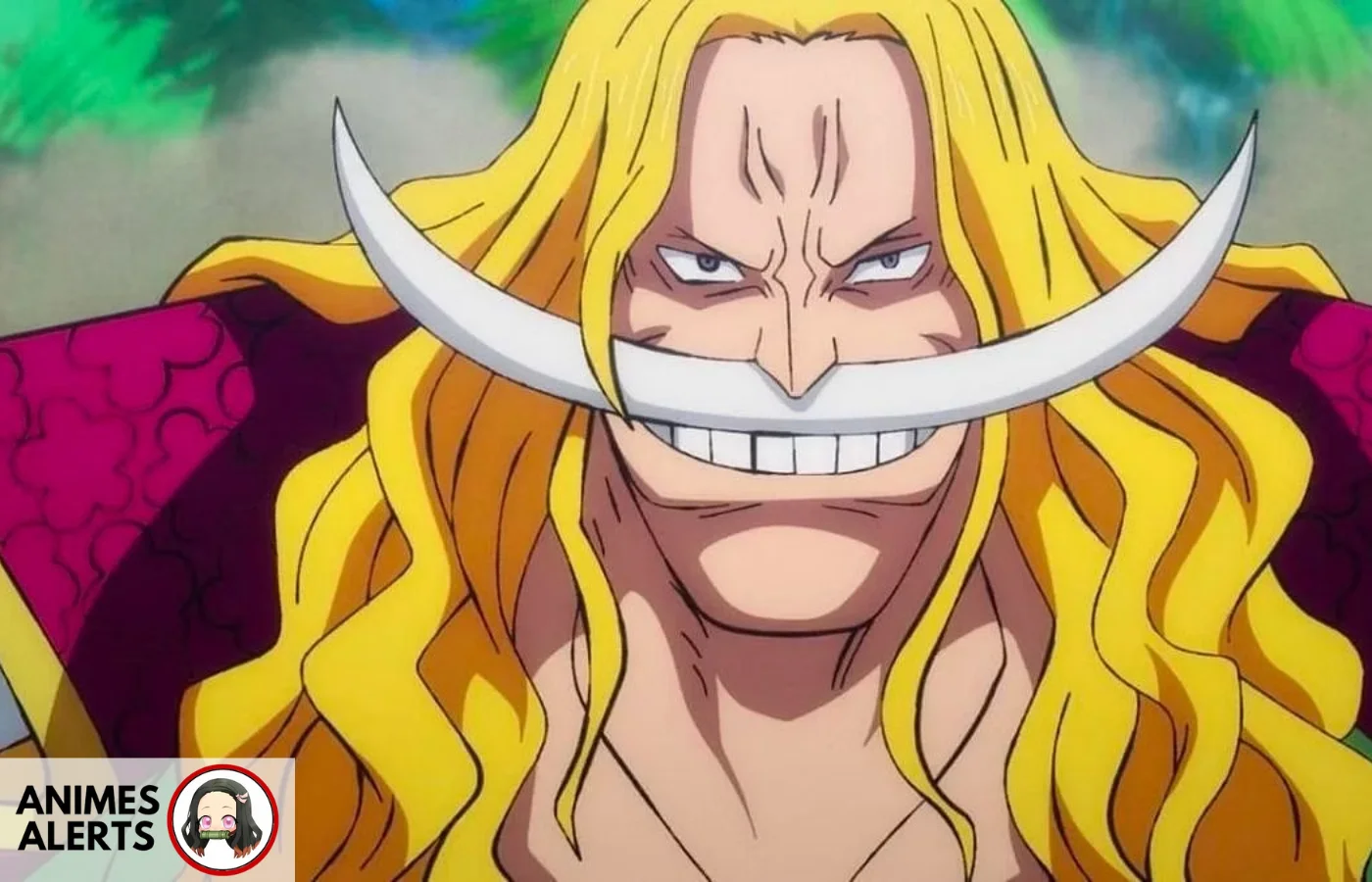 Whitebeard – One Piece