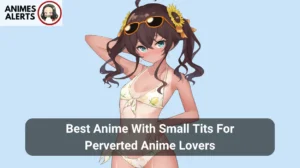 Read more about the article 15 Best Anime With Small Tits For Perverted Anime Lovers